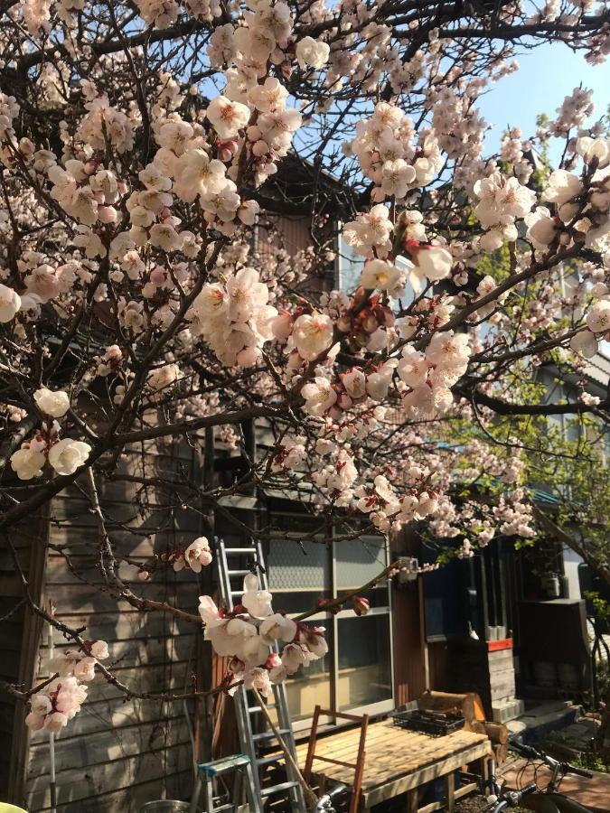 Shabby House Hotel Sapporo Exterior foto